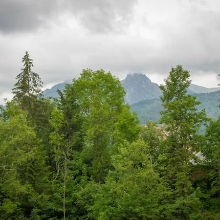Mountain Butorowy Sauna *