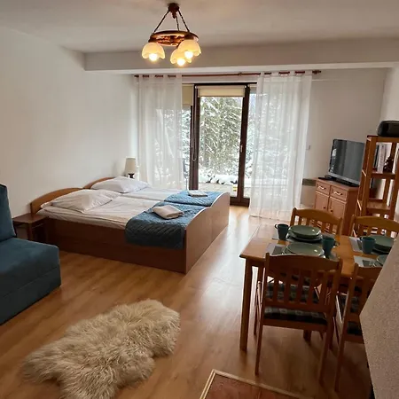 Apartament Widokowy 40 Apartment