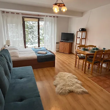 Apartament Widokowy 40 Apartment *