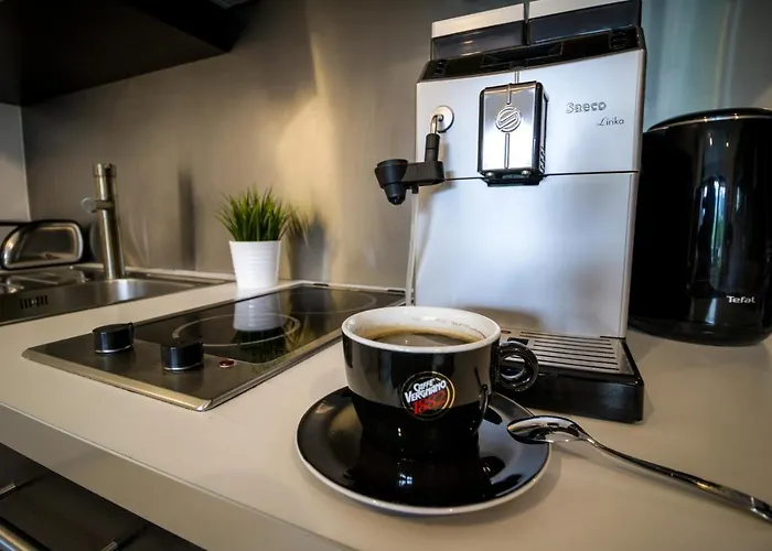 Widokowy 40 דירה *