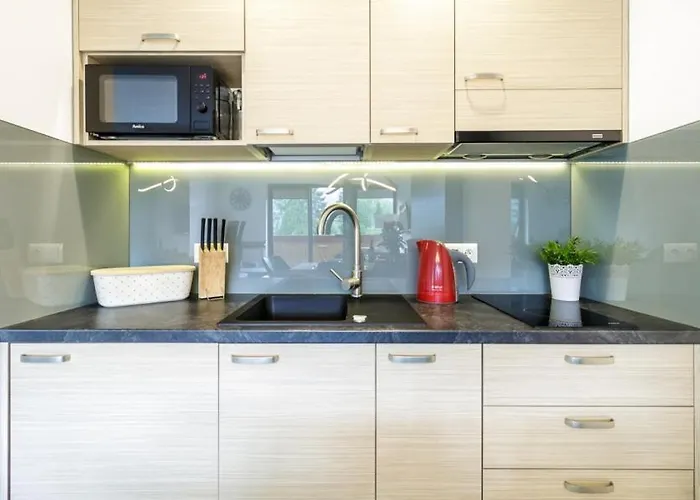 Widokowy 40 דירה קושצ'ליסקו